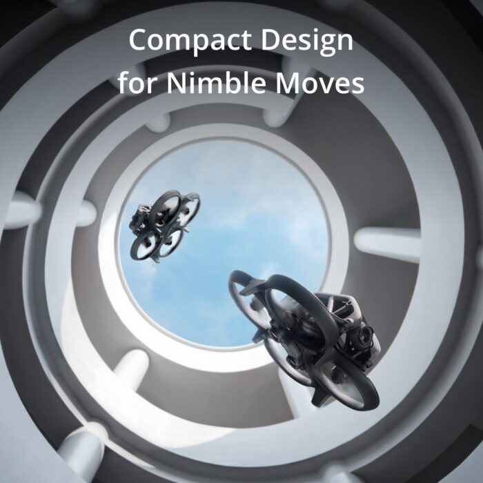 DJI Avata Pro View Combo 2